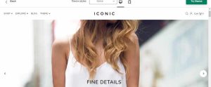 Icon Theme - Dolce - Ecommerce Website Template