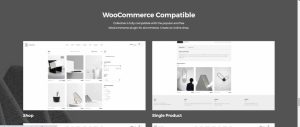 Collective - Minimal WordPress Theme